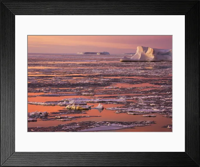Framed Print : DDE-90023747