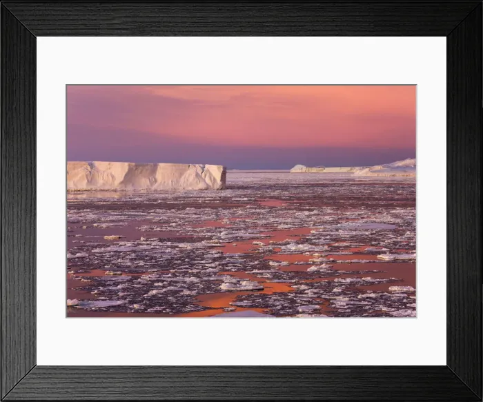 Framed Print : DDE-90023748 Framed Print : DDE-90023748