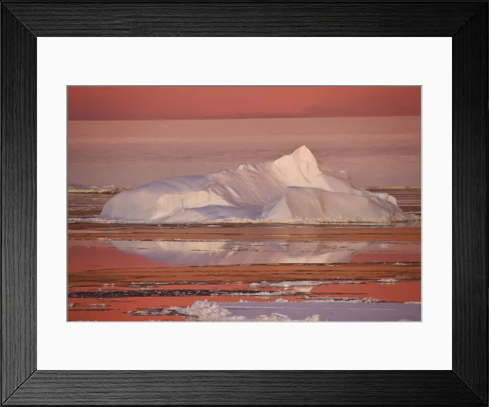Framed Print : DDE-90023749 Framed Print : DDE-90023749