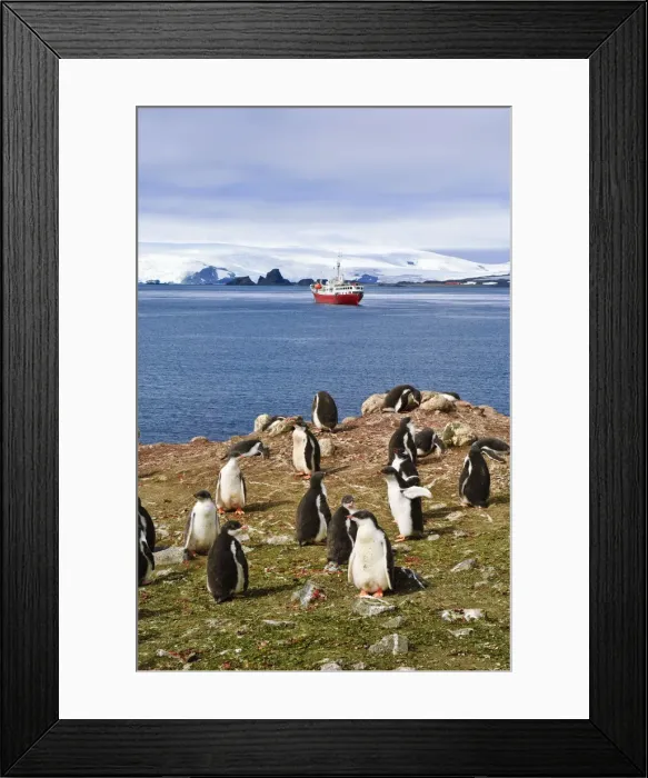 Framed Print : DDE-90023767 Framed Print : DDE-90023767
