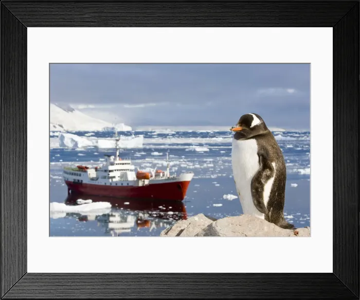 Framed Print : DDE-90023769