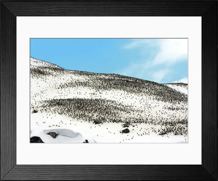 Framed Print : DDE-90023788