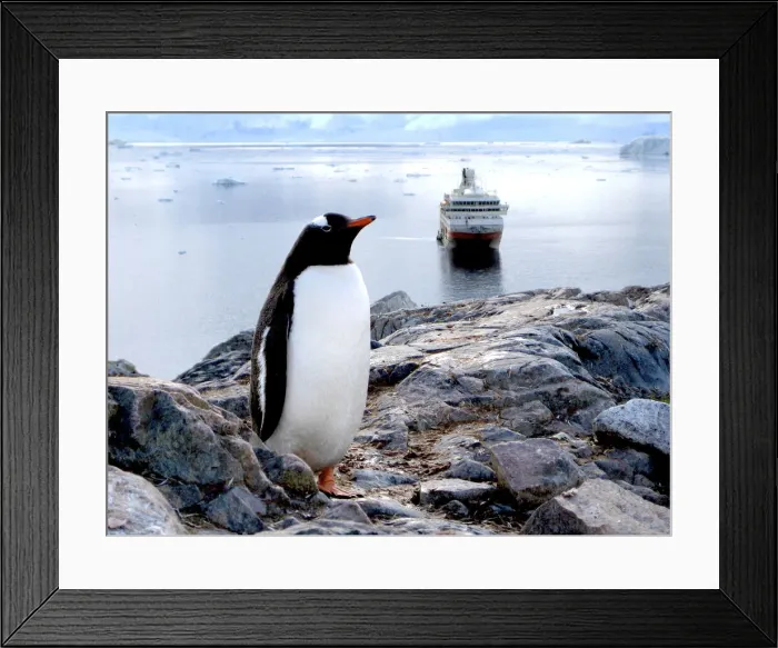 Framed Print : DDE-90023791 Framed Print : DDE-90023791