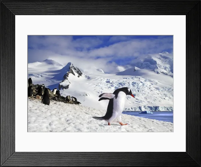Framed Print : DDE-90023790 Framed Print : DDE-90023790