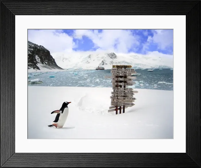 Framed Print : DDE-90023794 Framed Print : DDE-90023794