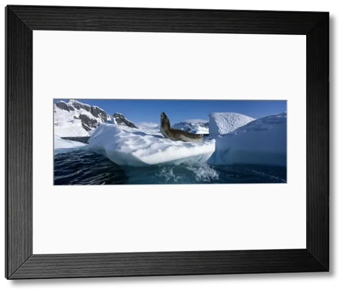 Framed Print : DDE-90023802 Framed Print : DDE-90023802