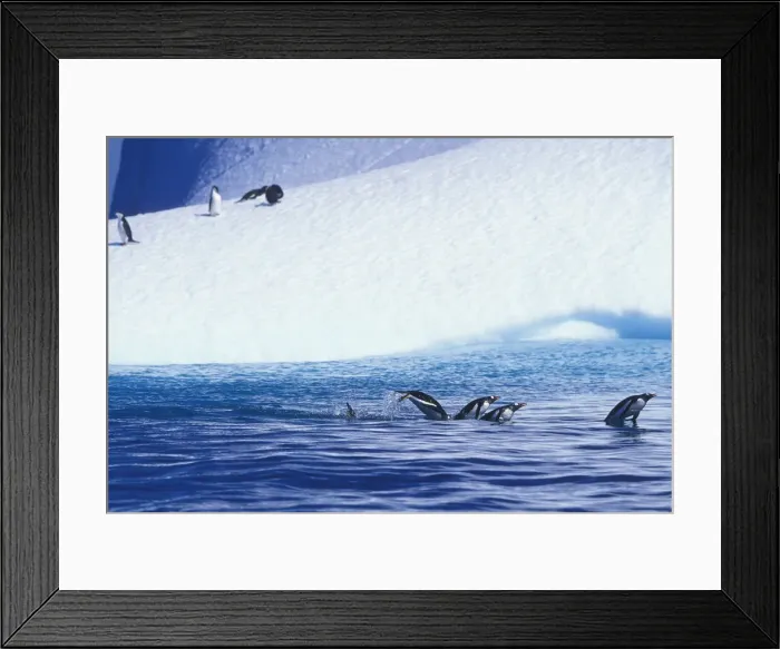 Framed Print : DDE-90023812