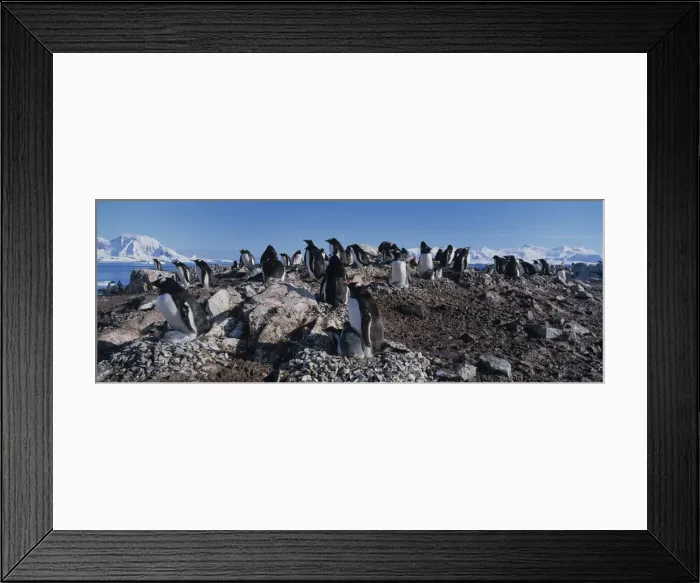 Framed Print : DDE-90023814 Framed Print : DDE-90023814