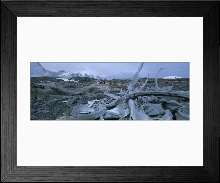 Framed Print : DDE-90023826 Framed Print : DDE-90023826