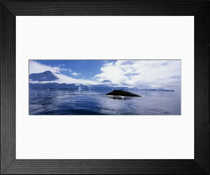 Framed Print : DDE-90023829 Framed Print : DDE-90023829