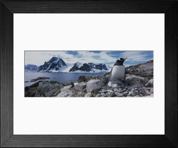 Framed Print : DDE-90023836