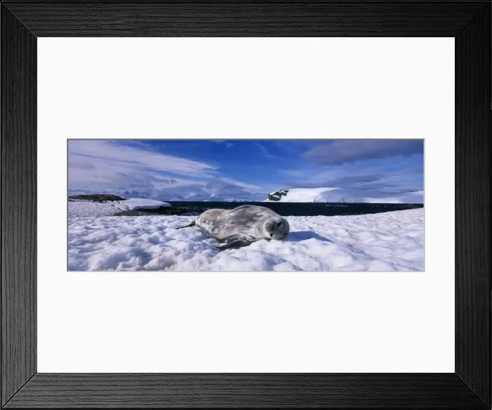 Framed Print : DDE-90023837 Framed Print : DDE-90023837