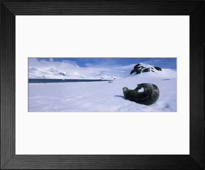 Framed Print : DDE-90023840 Framed Print : DDE-90023840