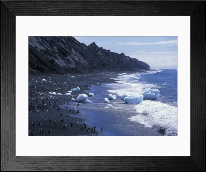 Framed Print : DDE-90023846 Framed Print : DDE-90023846