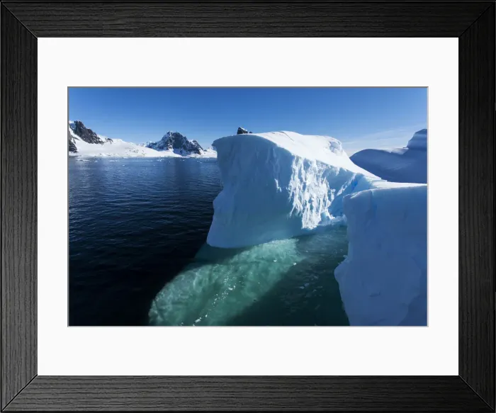 Framed Print : DDE-90023850