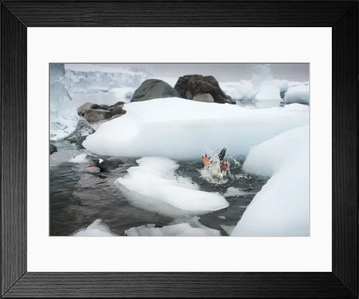 Framed Print : DDE-90023883 Framed Print : DDE-90023883