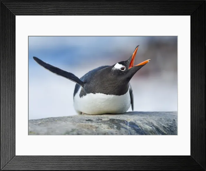 Framed Print : DDE-90023908