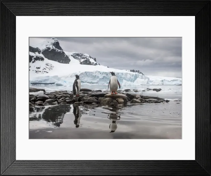 Framed Print : DDE-90023914 Framed Print : DDE-90023914
