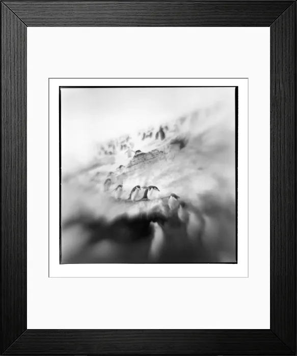 Framed Print : DDE-90023927 Framed Print : DDE-90023927