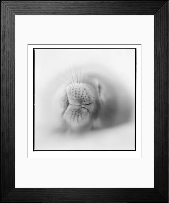 Framed Print : DDE-90023928 Framed Print : DDE-90023928