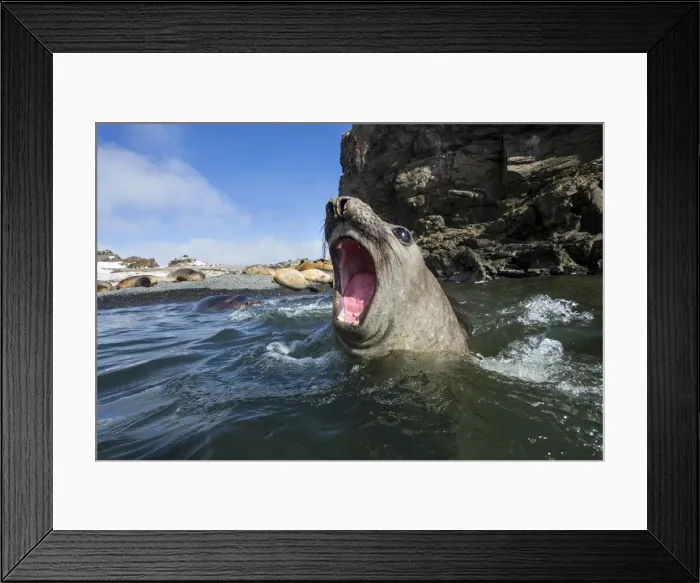 Framed Print : DDE-90023932 Framed Print : DDE-90023932
