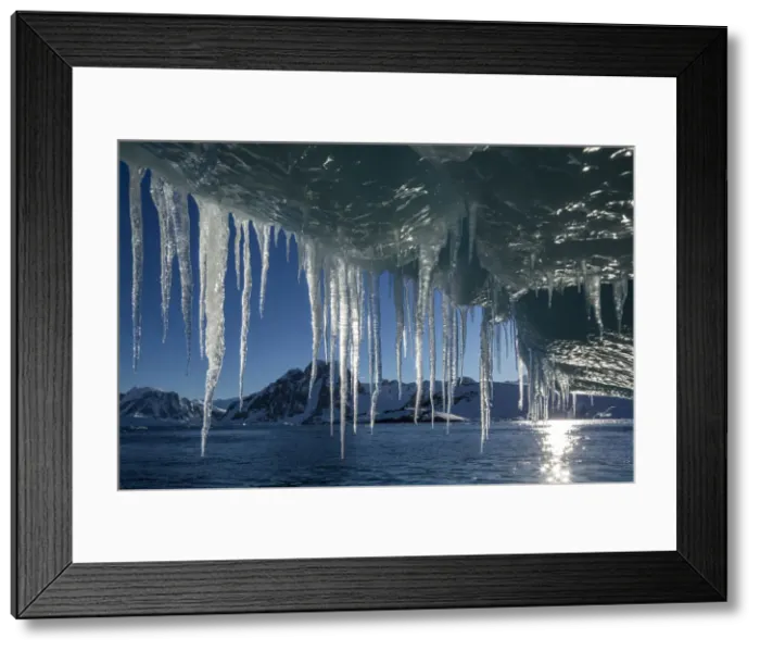 Framed Print : DDE-90023941 Framed Print : DDE-90023941