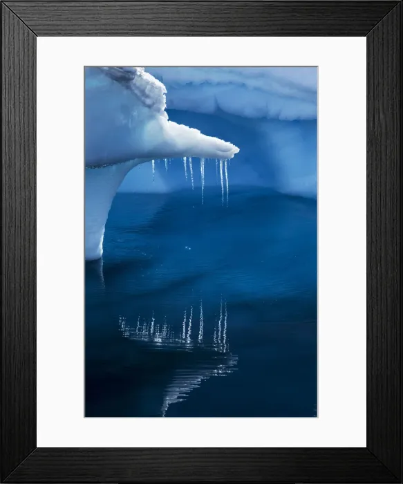 Framed Print : DDE-90023945 Framed Print : DDE-90023945