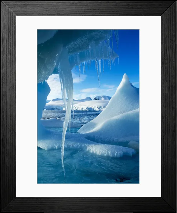 Framed Print : DDE-90023948 Framed Print : DDE-90023948