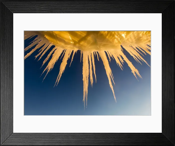 Framed Print : DDE-90023983