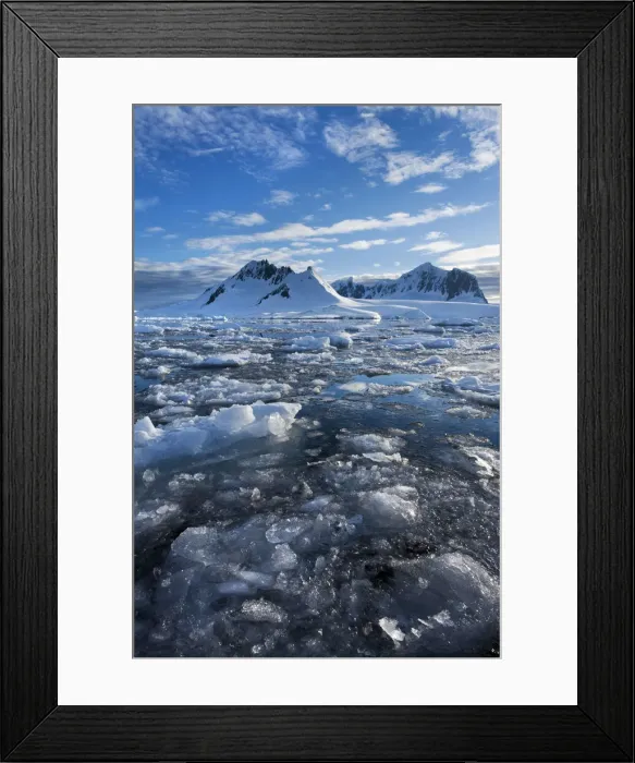 Framed Print : DDE-90023990 Framed Print : DDE-90023990
