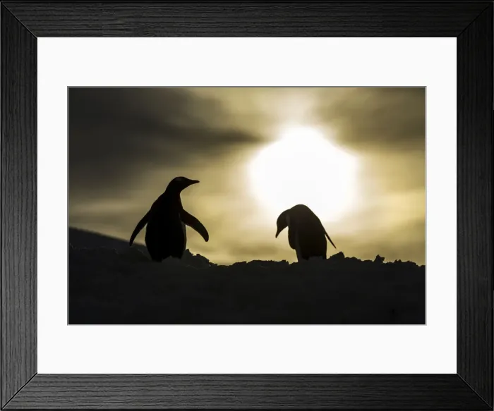 Framed Print : DDE-90024005 Framed Print : DDE-90024005