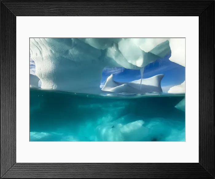 Framed Print : DDE-90024036