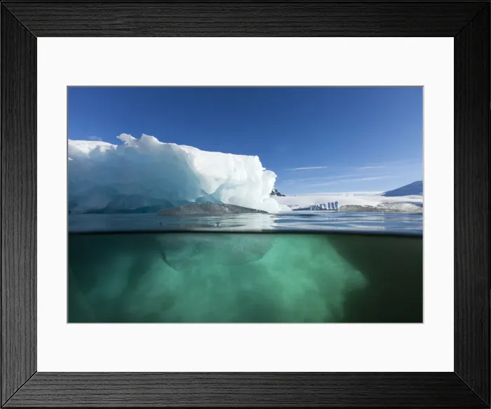 Framed Print : DDE-90024041 Framed Print : DDE-90024041