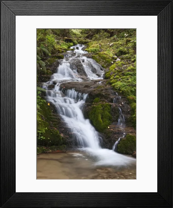 Framed Print : DDE-90024053 Framed Print : DDE-90024053