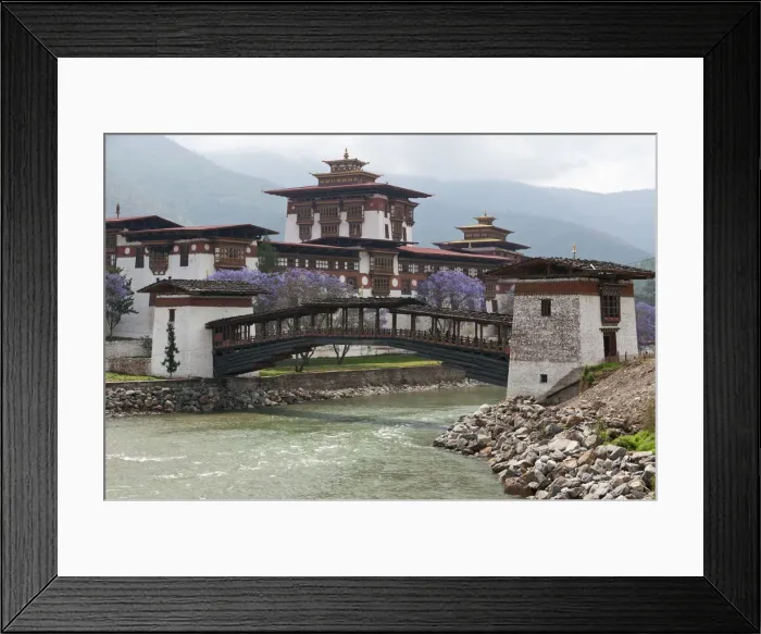 Framed Print : DDE-90024056 Framed Print : DDE-90024056