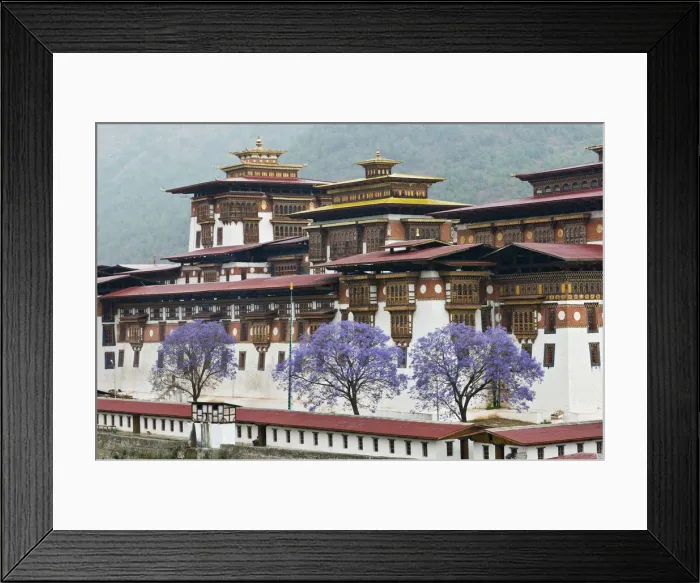 Framed Print : DDE-90024055 Framed Print : DDE-90024055