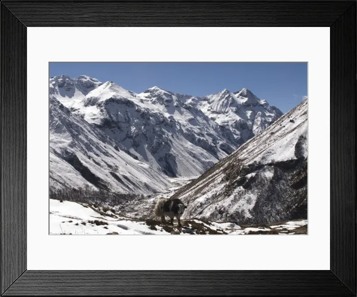 Framed Print : DDE-90024058 Framed Print : DDE-90024058