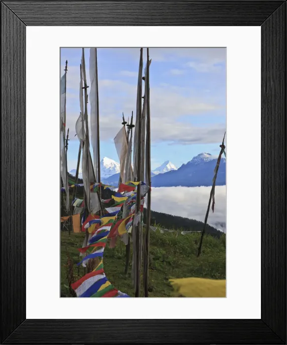 Framed Print : DDE-90024063 Framed Print : DDE-90024063