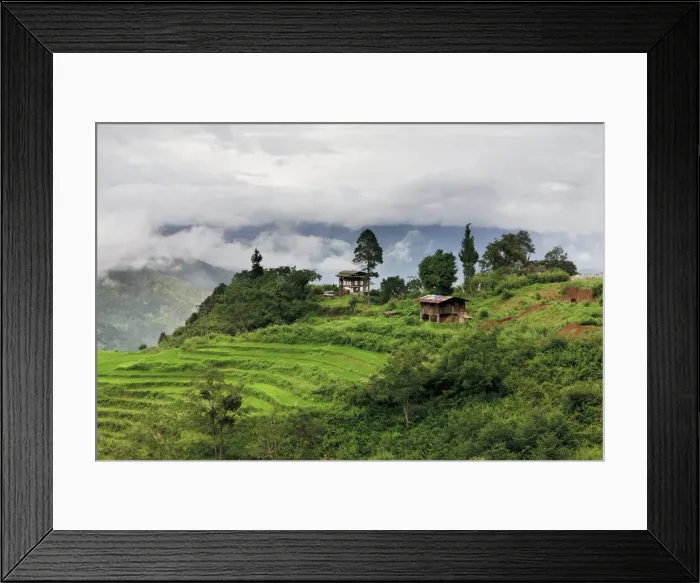 Framed Print : DDE-90024064 Framed Print : DDE-90024064