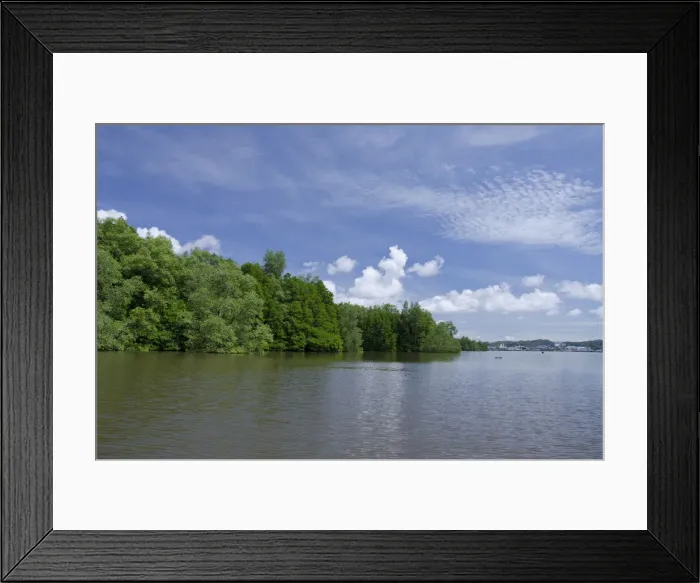 Framed Print : DDE-90024066 Framed Print : DDE-90024066