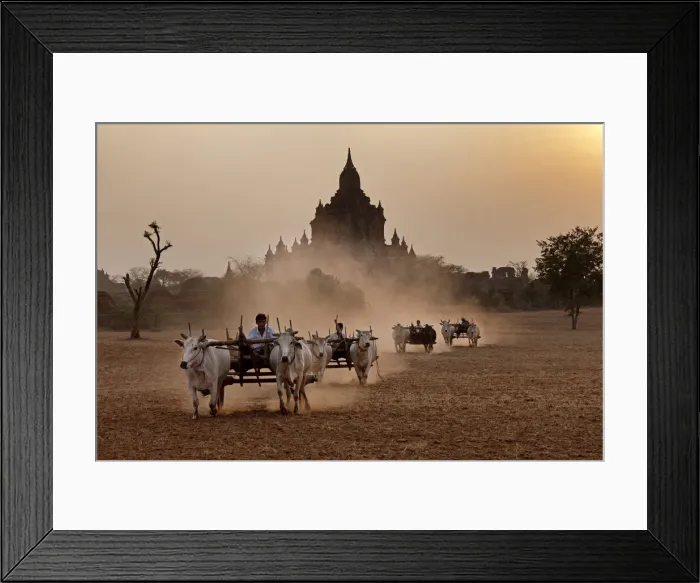 Framed Print : DDE-90024067 Framed Print : DDE-90024067