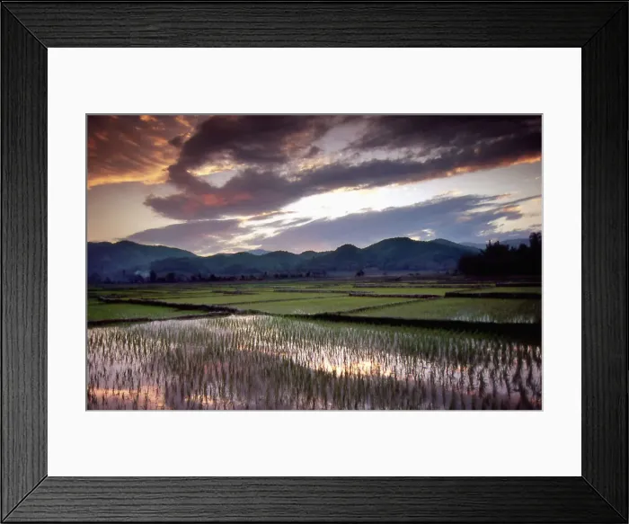 Framed Print : DDE-90024071