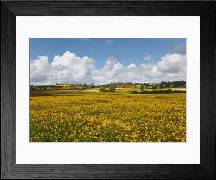 Framed Print : DDE-90024077 Framed Print : DDE-90024077