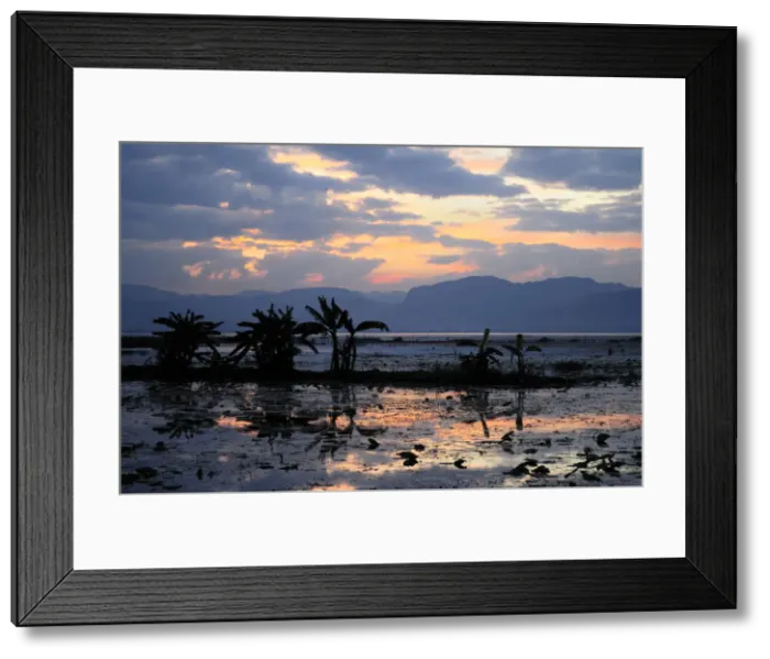 Framed Print : DDE-90024084 Framed Print : DDE-90024084