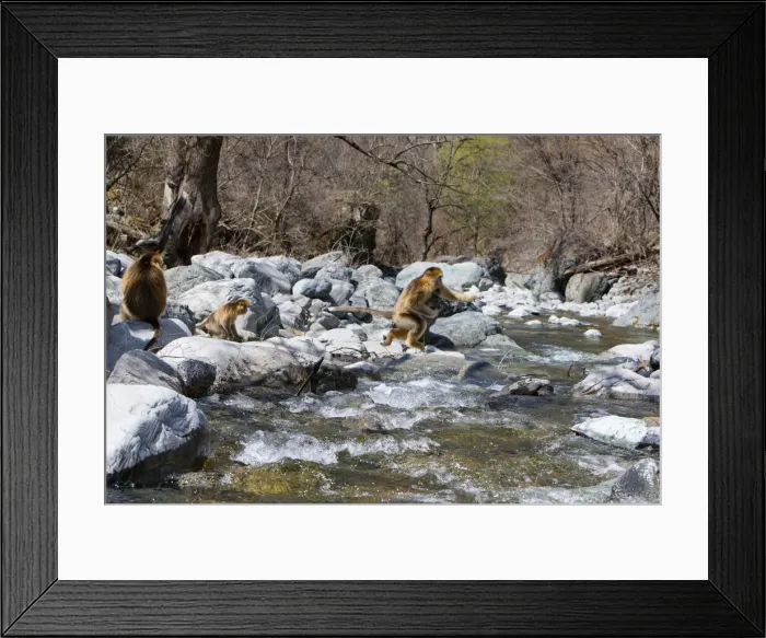 Framed Print : DDE-90024094 Framed Print : DDE-90024094