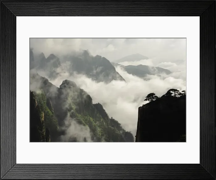 Framed Print : DDE-90024122 Framed Print : DDE-90024122