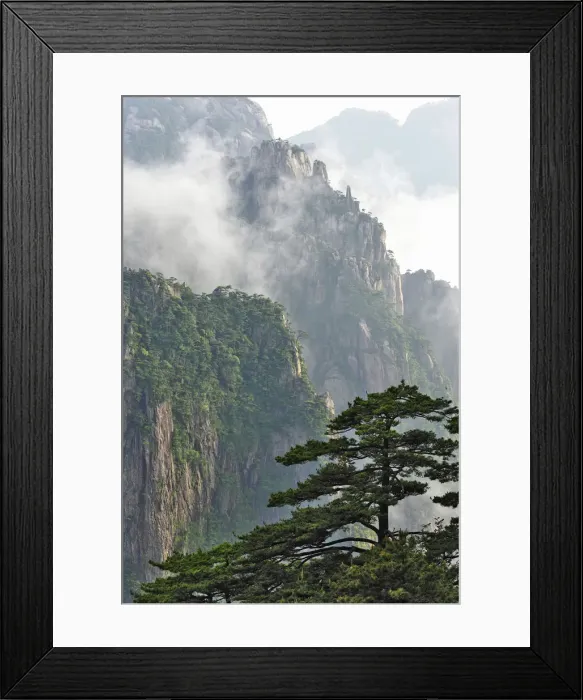 Framed Print : DDE-90024125 Framed Print : DDE-90024125