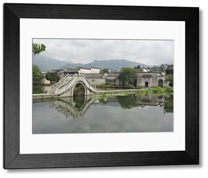 Framed Print : DDE-90024127 Framed Print : DDE-90024127