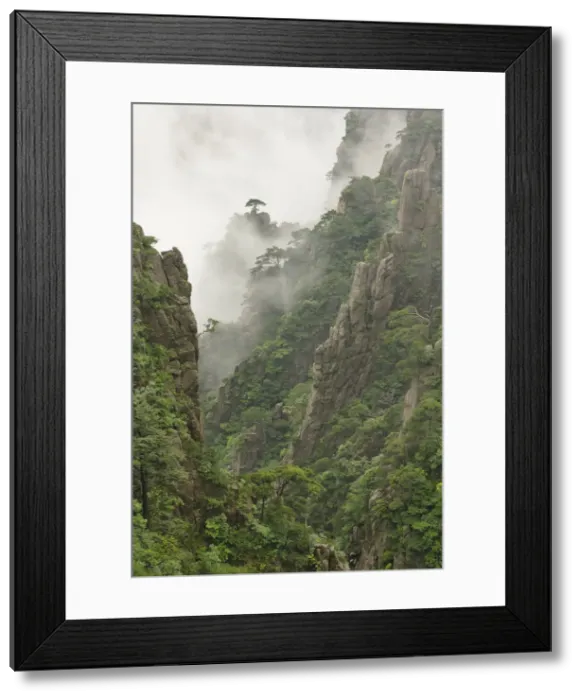 Framed Print : DDE-90024129 Framed Print : DDE-90024129