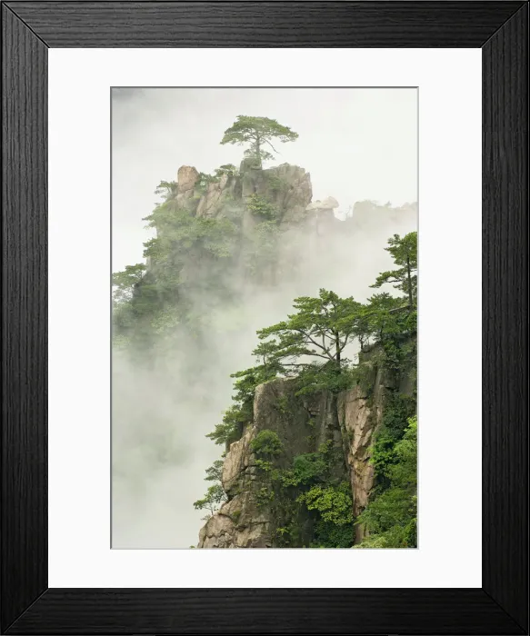 Framed Print : DDE-90024130 Framed Print : DDE-90024130